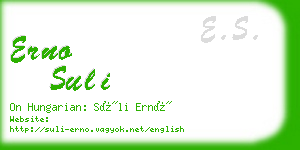 erno suli business card